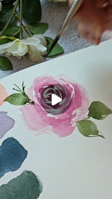 Joly Poa Watercolor, Rose Drawing Watercolor, August Watercolor, Sketchbook Exercises, Painting Of Roses, Loose Watercolor Flowers, Painting 101, Spring Watercolor, Watercolor Video