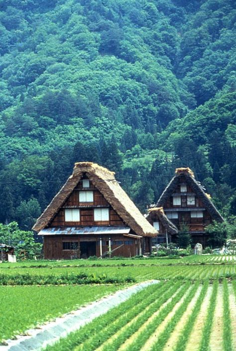 Thatched gassho-zukuri (合掌造り) farmhouses of the historic village, Shirakawa-go (白川郷), in the Gifu Prefecture, Japan Gokayama, Japan Village, Shirakawa Go, Japanese Countryside, Japanese Village, Famous Architecture, Asian Architecture, Japanese Landscape, Iconic Buildings