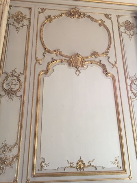 House In Paris, Paneled Walls, Dome Building, Wall Decorating, French Rococo, House Aesthetic, Wall Papers, Classic Decor, French Decor