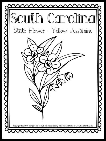 South Carolina State Flower Tattoo, Yellow Jessamine Drawing, South Carolina Printable Free, South Carolina State Symbols, South Carolina Drawing, South Carolina Tattoo Ideas, South Carolina State Flower, South Carolina Tattoo, Trip Tattoo