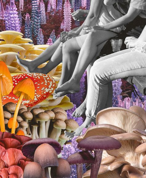 The Rise Of The Mushroom Moms Art Mushroom Painting, Mushroom Collage, Mushroom Trip, Psychoactive Plants, Psilocybin Mushrooms, Mushroom Paint, Licensed Clinical Social Worker, Call Mom, The Mushroom