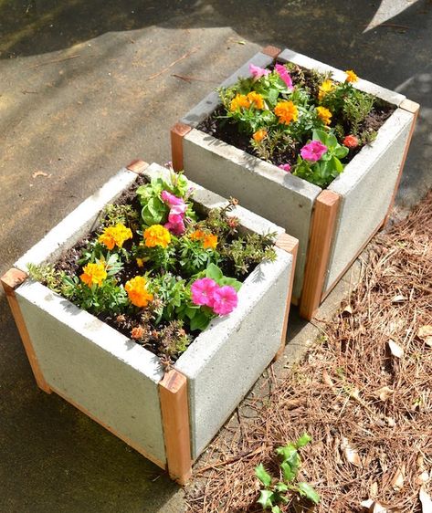 Paver Planter, Pavers Diy, Fall Deck, Garden Pavers, Outdoor Planter Boxes, Large Outdoor Planters, Outdoor Pavers, Diy Concrete Planters, Diy Planter Box