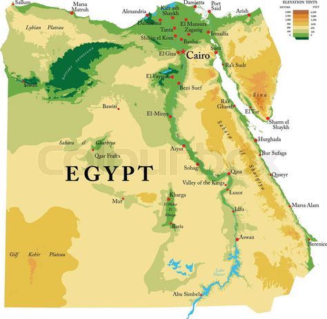 Egypt physical map Al Pacino Girlfriend, Map Of Egypt, History Egypt, Cartography Map, Egypt Map, Physical Map, Big Cities, Luxor Egypt, Valley Of The Kings