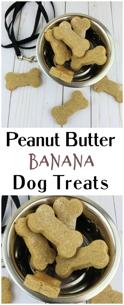 Make Your Own Peanut Butter, Peanut Butter Banana Dog Treats, Banana Dog Treat Recipe, Banana Dog Treats, Pet Treats Recipes, Banana Treats, Dog Treats Homemade Easy, Easy Dog Treat Recipes, Splash Of Water