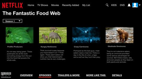 Create a Netflix series for a novel, historical event, animals/plants, etc. with this Netflix template for Google Slides, Keynote, or PowerPoint. Netflix Template, Netflix Home, Yearbook Themes, Food Web, Simple Green, Netflix Series, Historical Events, Science Projects, Home Tv