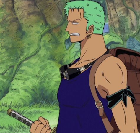 One Piece Arcs List With Episode, One Piece Arcs List, One Piece Arcs, Zoro Skypiea, One Piece Skypiea, Taika Waititi, Roronoa Zoro, Straw Hat, Straw