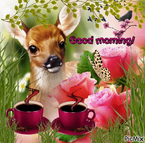 Rainy Good Morning, Beautiful Morning Pictures, Good Morning Gif Images, Morning Sister, Good Morning Love Gif, Good Morning Sister, Good Morning Greeting Cards, Good Morning Coffee Gif, Good Morning Happy Sunday