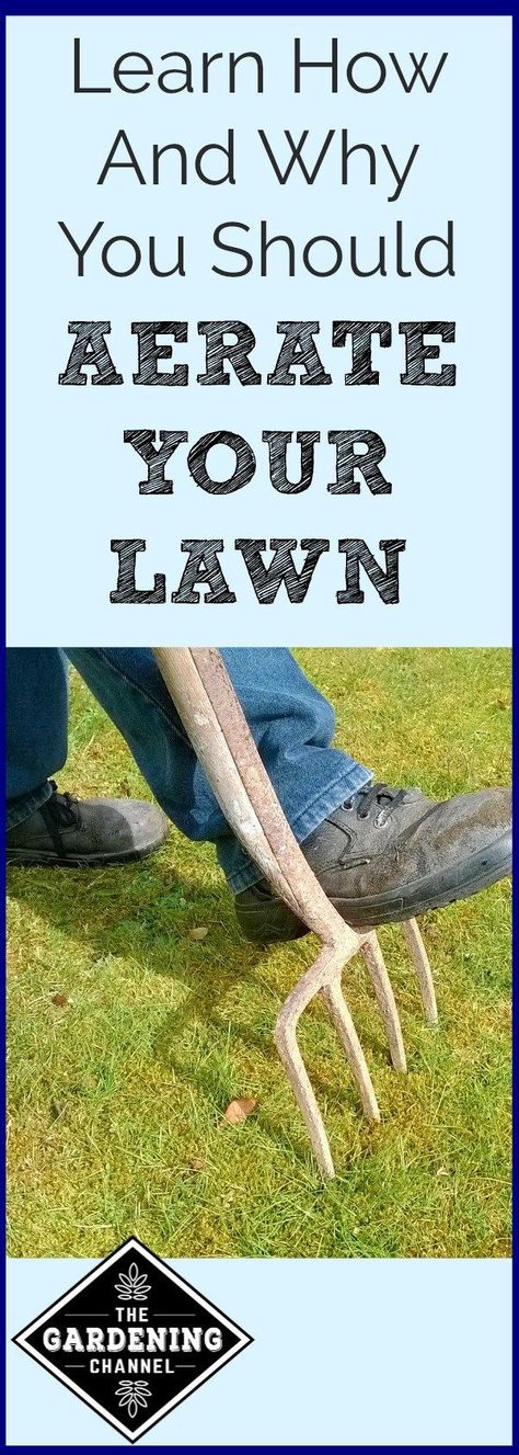 Do you want to have the best lawn on the block?  Learn why aerating your lawn is so good for the soil.  Get tips for how aerate your lawn. Fall Lawn Maintenance, Lawn Maintenance Schedule, Lawn Aeration, Winter Lawn Care, Spring Lawn Care, Lawn Care Schedule, Fall Lawn, Lawn Food, Aerate Lawn