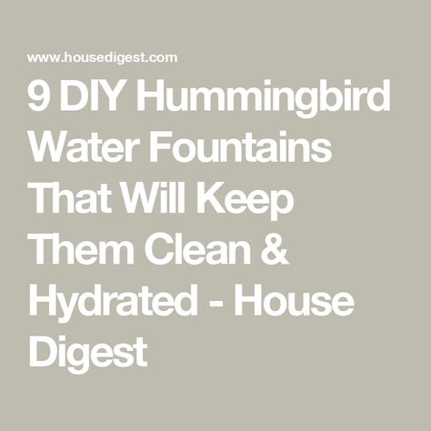 9 DIY Hummingbird Water Fountains That Will Keep Them Clean & Hydrated - House Digest Hummingbird Fountain, Hummingbird Water, Garden Setup, Large Decorative Bowl, Diy Water Fountain, Plastic Shoe Boxes, Solar Water Pump, Plant Saucer, Ice Cream Containers