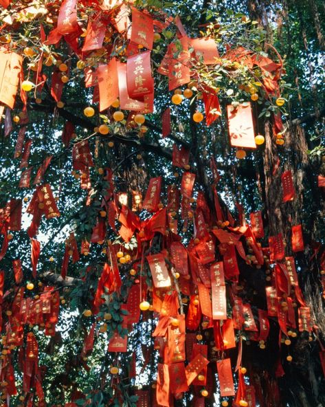 Wishing tree (nazar boncuks, different color ribbons to make the wish, elephant deco to hang on the tree and butterflys). Asian Christmas Tree, Wish Tree Ideas, Wishes Tree, Chinese Tree, Wish Tree, China Crafts, Houses Of The Holy, New Year Art, Cultural Art