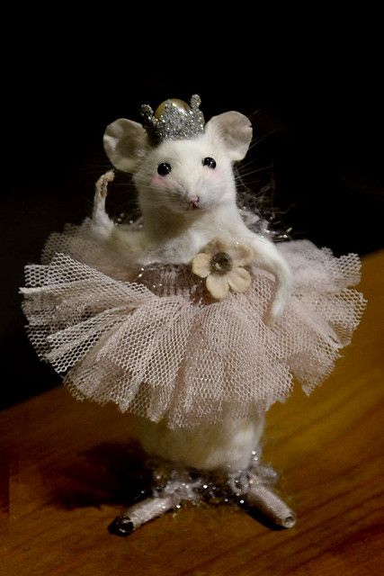 Rattus Rattus, Funny Rats, Funny Mouse, Funny Hamsters, Taxidermy Art, Cute Rats, Cute Hamsters, Funny Animal Jokes, Cute Mouse