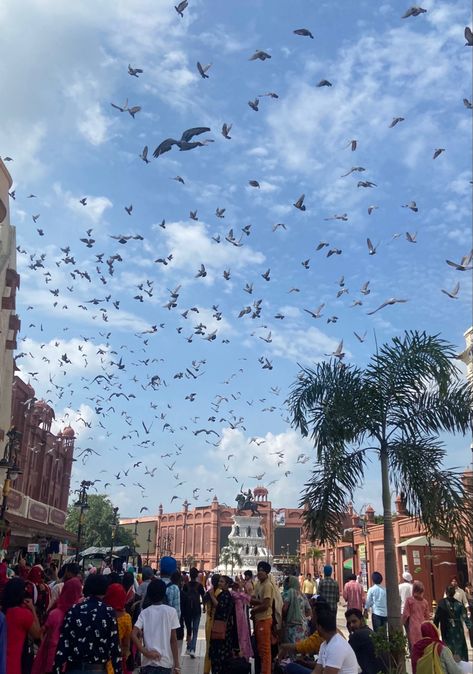 Amritsar Aesthetic, Harmandir Sahib Photography, Car Snap, Harmandir Sahib, Punjabi Culture, Travel Pose, Happy New Year Pictures, Couples Hugging, Gurbani Quotes