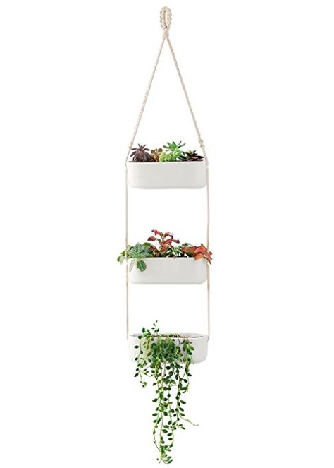 Mkono Macrame Hanging Planter with 3 Ceramic Plant Flower Pots, White Hanging Herb Gardens, Wall Planters Outdoor, Pieris Japonica, Succulent Wall Planter, Wall Plant Holder, Planters Outdoor, Ceramic Wall Planters, Vertical Wall Planters, Hanging Wall Planters