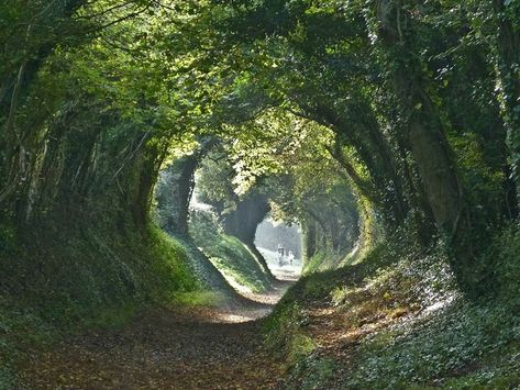 Mill Lane - the path to Halnaker Windmill from Halnaker - near Chichester Sussex UK Roman Roads, Chichester, Scenic Routes, English Countryside, How To Level Ground, Pretty Places, The Road, Beautiful Places, Old Things