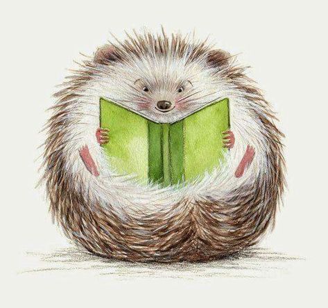 Animals Reading Books Illustration, Animals Reading Books, Animals Reading, Reading Week, Hedgehog Illustration, Tier Tattoo, Reading Art, Hedgehog Art, Reading A Book