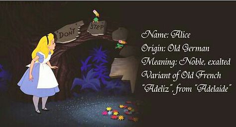 Adelaide Name, Ella Name, Disney Name, Disney Names, Rare Names, Princess Artwork, Lost Princess, Create Name, Name Origins