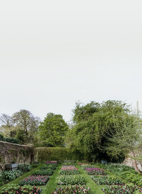 Arne Maynard, Oxfordshire England, Backyard Garden Layout, Herbaceous Border, London Garden, English Country Gardens, Cut Flower Garden, Spring Bulbs, House Garden