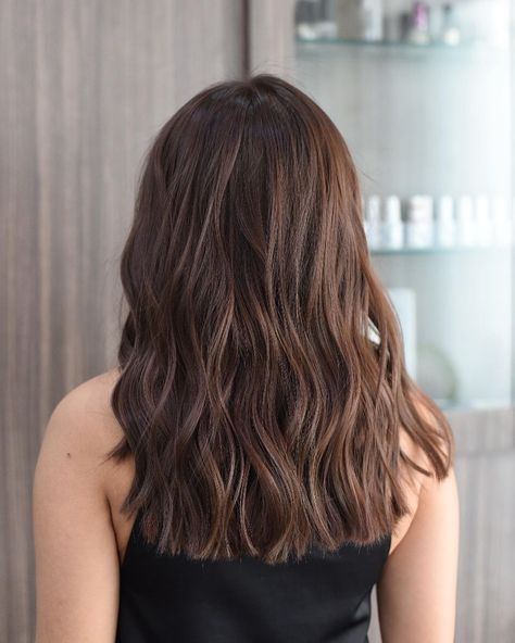 Brown Balayage No Bleach, Brown No Bleach Hair, No Bleach Balayage Brown Hair, No Bleach Brown Hair, Brown Hair No Bleach, No Bleach Balayage, No Bleach Hair Color, Bleach Brown Hair, Bleach Balayage