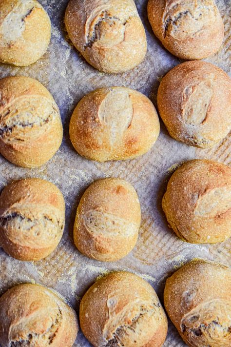 Sourdough Dinner Rolls- No Yeast! - Lynn's Way of Life Sourdough Dinner, Sourdough Dinner Rolls, Sourdough Rolls, Making Sourdough Bread, Discard Recipes, Homemade Sourdough Bread, Artisan Bread Recipes, Sourdough Starter Recipe, Dough Recipes