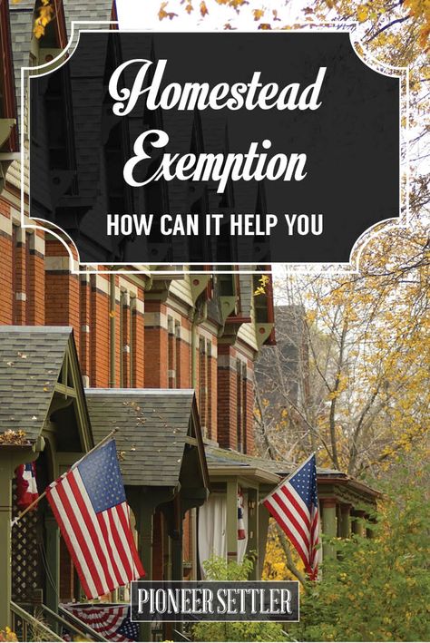 Homestead Exemption, Homesteading Life, Homestead Life, Homestead Ideas, Homesteading Diy, Homestead Farm, Farm Business, Homestead Gardens, Future Farms