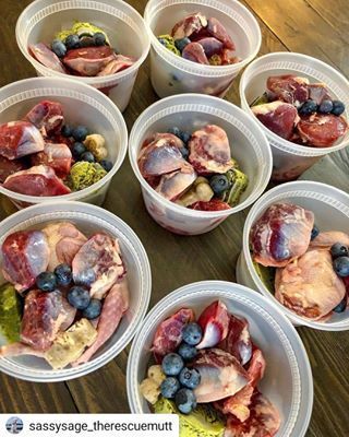 Raw Meals For Dogs, Raw Diet For Puppies, Feeding Dogs Raw, Raw Dog Food Diet For Beginners, Raw Dog Food Meal Prep, Raw Diet For Dogs Beginner, Raw Food Diet For Dogs Beginner, Dog Food Prep, Dog Raw Food Diet