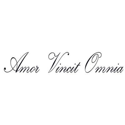 Love conquers ALL... first tattoo I ever got. Side Tattoos Women Quotes, Latin Love Quotes, Latin Quote Tattoos, Cross Tattoo On Wrist, Side Tattoos Women, Cage Tattoos, Bible Verse Tattoos, Verse Tattoos, Ribcage Tattoo