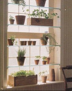 Shelf in front of window idea. Obviously, you wouldn't put plants on yours Kitchen Window Herb Garden, Diy Mini Greenhouse, Homemade Greenhouse, Window Herb Garden, Greenhouse Window, Window Plant Shelf, Window Greenhouse, Window Plants, Window Shelves