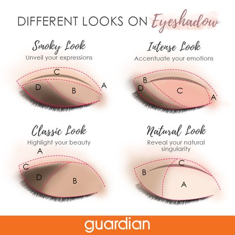 Eyeshadow Chart, Make Up Yeux, Makeup Order, Beginners Eye Makeup, Makeup Secret, Eye Makeup Techniques, Makeup Artist Tips, Makeup Help, Makeup Tutorial Eyeshadow