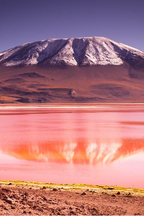 Bolivia is more than just the Bolivian Salt Flats. Discover these five fabulous Bolivian landscapes. Incredible photography spots in Bolivia you shouldn't miss during your trip to South America #bolivia #travel #southamerica #photography South America Photography, Bolivia Aesthetic, Bolivia Photography, Incredible Photography, South America Travel Photography, South America Travel Destinations, Bolivia Travel, South America Destinations, Salt Flats