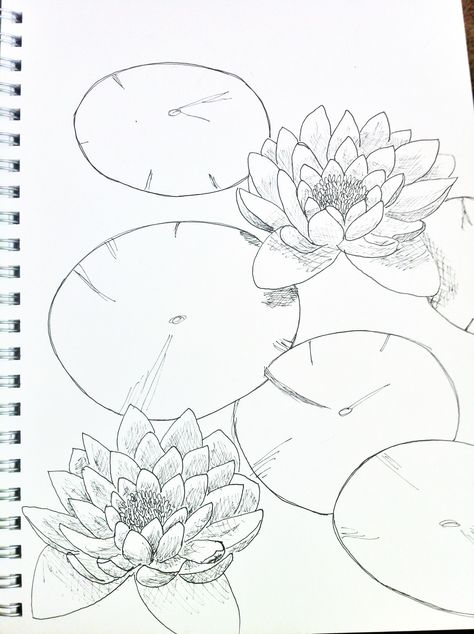 How To Draw Lilly Pads, Water Lilies Sketch, Water Lily Pad Drawing, Lilly Pad Flowers Drawing, Drawing Lily Pads, How To Draw Lily Pads, Koi Fish With Lilly Pads Drawing, Waterlily Sketch, Lily Pad Drawing Easy