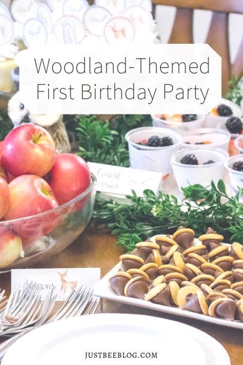 Winter Woodland Birthday Party, Woodland Birthday Theme, Winter Woodland Birthday, Sweet Sixteen Party Themes, Woodland First Birthday, Woodland Party Theme, Baby First Birthday Themes, Forest Birthday Party, Forest Birthday