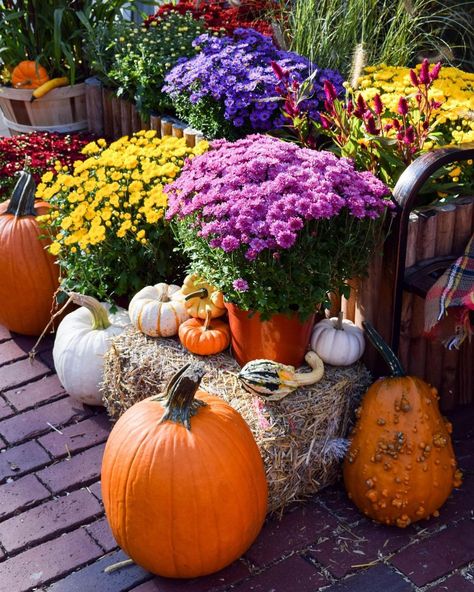 Jenna DiMaggio on Instagram: “Scenes from last fall’s Salem trip 🎃I didn’t make it there this year and honestly I’m kind of in shock that we are already at the last…” Fall Yard Decor, Fall Landscaping, Outdoor Fall Decor Ideas, Outdoor Fall Decor, Yard Landscape, Fall Decor Ideas, Fall Front Porch, Fall Outdoor Decor, Autumn Scenes