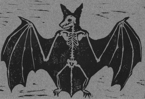 Bat Skeleton, Count Dracula, Relief Print, Gothic Aesthetic, Art Anime, Pics Art, Dracula, Vintage Halloween, Linocut