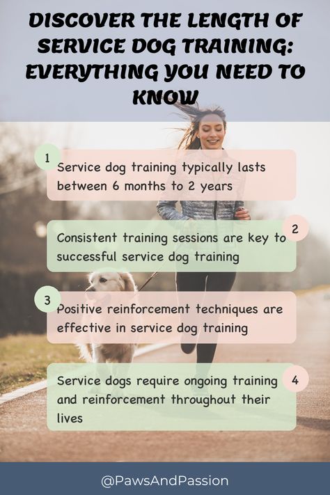 👟 Learn all about the duration of service dog training! Find out how long is service dog training and what goes into preparing these amazing working dogs. Read more here. #ServiceDogTraining #DogTraining #ServiceDogs #TrainingTimeline #DogTips 👟 Service Dog Training Checklist, Training Checklist, Dog Food Homemade, Psychiatric Service Dog, Puppy Mom, Service Dog Training, Healthy Dog Food, House Training Dogs, Behavior Modification