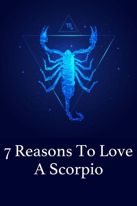 If you are eyeing a Scorpio (or if one is eyeing you), herein are 7 reasons why loving them is a gift that will keep giving for the rest of your lives. via @stevenaitchison When A Scorpio Likes You, Scorpio Zodiac Facts Women, Scorpio Anger, Scorpio With Other Signs, Scorpio Qualities, Psychology Quiz, Scorpio Relationships, Scorpio Eyes, Scorpio Zodiac Tattoos