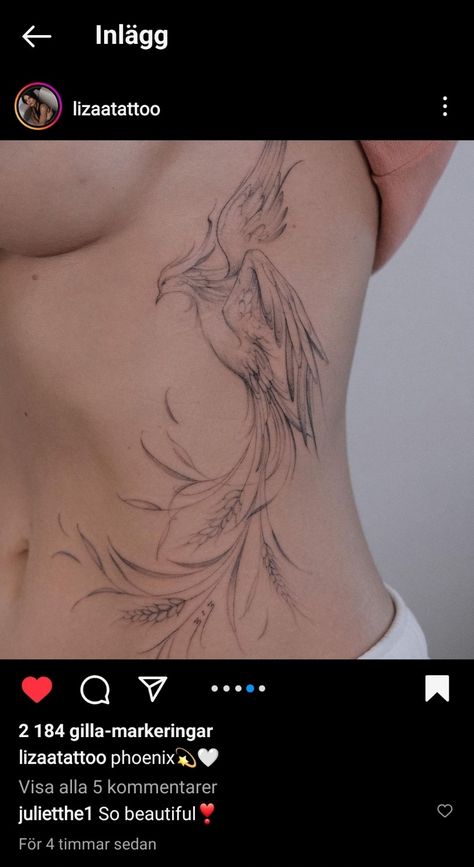 Fenix Tattoo, Phoenix Drawing, Small Phoenix Tattoos, Tattoo Arm, Phoenix Tattoo, Girl Tattoo, Inspirational Tattoos, Back Tattoo, Arm Tattoo