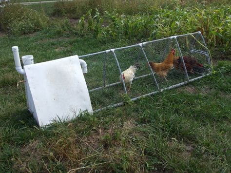 The New PVC Chicken Tractor Row Crop Cultivator - Lewis Family Farm Chickens In Garden, Pvc Chicken Tractor, Chicken Tractors, Chicken Tractor, Pet Ducks, Chicken Garden, Keeping Chickens, Mini Farm, Chicken Farm