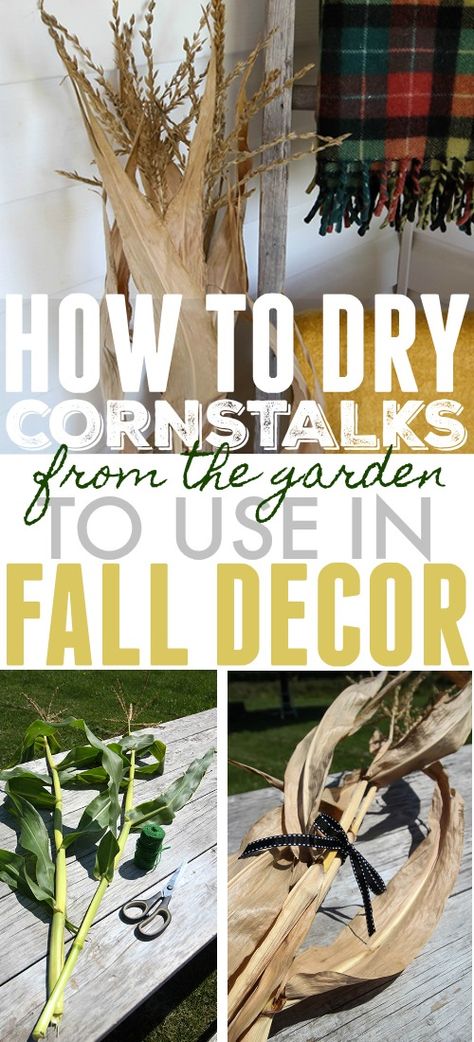 How to dry corn stalks from your garden to use in fall decor! Corn Stalks Front Porch, Corn Stalks Decorations, Corn Stalk Decor, Dried Corn Stalks, Best Party Ideas, Corn Husk Crafts, Harvest Corn, How To Make Corn, Fall Parties