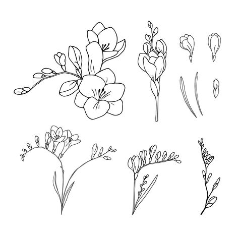 Freesia Flower, Freesia Flowers, Bestie Tattoo, Family Flowers, Petite Tattoos, Floral Drawing, Watercolor Flower Art, Small Tattoo Designs, Flower Tattoo Designs