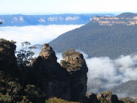 More Ups and Downs on the Grand Cliff Top Walk – Day 2 – Leura to Scenic World, Blue Mountains NSW Camino Portuguese, The Blue Mountains, Travel Reading, Blue Mountains, Big Adventure, Blue Mountain, The Visitors, Ups And Downs, Globe Trotter