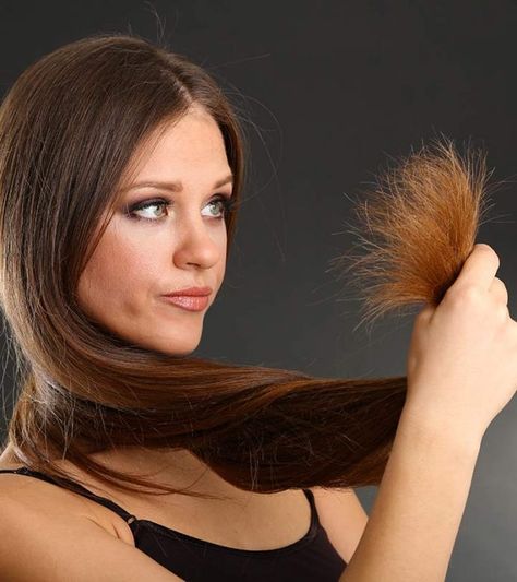 Split Ends Hair, Split Hair, Strawberry Blonde Hair, Damaged Hair Repair, Brittle Hair, Healthy Hair Growth, Unwanted Hair, Hair Strand, Split Ends