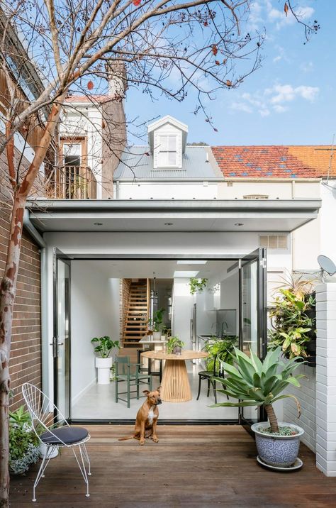 Tiny Terrace, Timber Stair, Red Brick Walls, Red Brick Wall, Victorian Terrace House, Small Terrace, Cool Homes, Dormer Windows, Rear Extension