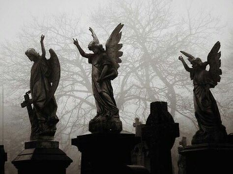 Supernatural Angels, Supernatural Wallpaper, Angel Aesthetic, City Of Bones, Gothic Aesthetic, Dark Angel, Non Fiction, Pics Art, Graveyard