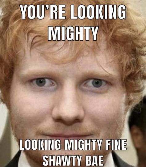 hey shawty bae🥵 not a sheerio safe space btw🤨 Hey Shawty, Ed Shiran, Ed Sheeran Memes, Ed Sheeran Facts, Ed Sheeran Love, Ed Sheeran, Dankest Memes, Reaction Pictures, Mood Pics