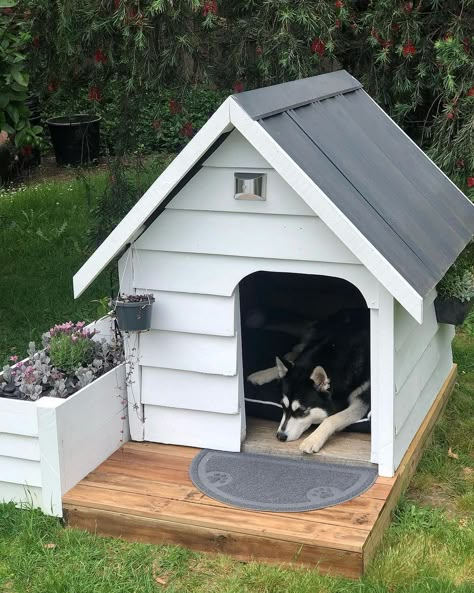 Discover the ultimate doggy heaven with Paws-ome Shelters, where exquisite designs meet comfort to create the perfect haven for your furry friend, enabling them to truly unleash and experience blissful living. Wooden Dog House Indoor Diy, Air Conditioned Dog House Diy, Aesthetic Dog House, Dog House Plans Insulated, Dog House Diy Outdoor, Easy Dog House, Dog House Design, Outside Dog Houses, Pallet Dog House