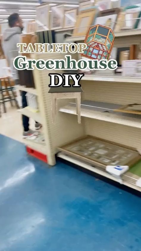 Small Porch Greenhouse, Homemade Indoor Greenhouse, Small Green House Interior Ideas, Diy Indoor Greenhouse Small Spaces, Diy Small Greenhouse Cheap, Small Diy Greenhouse, Table Top Greenhouse, Indoor Greenhouse Room, Diy Greenhouse Cheap