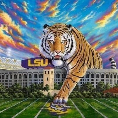 LSU Geaux Tigers! Lsu Tigers Art, Lsu Tiger Stadium, Lsu Babies, Tiger Quotes, Lsu Shirt, Lsu Baseball, Lsu Game, Lsu Fans, Tiger Stadium