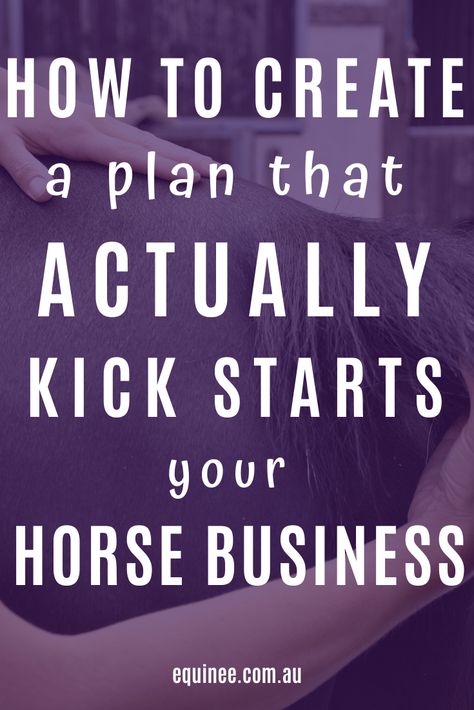 Equine Business Plan, Horse Business, Equine Massage, Small Business Management, Equine Therapy, Creating A Business Plan, Small Business Loans, Small Business Start Up, Farm Business