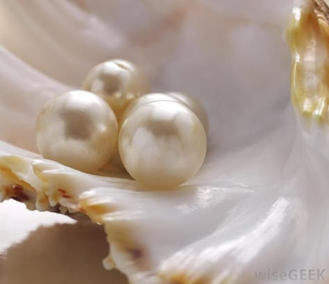 The differences between natural and cultured pearls are that cultured pearls are formed in oysters after humans implant a nucleus... Aphrodite Aesthetic, Stile Boho Chic, Oyster Pearl, Pearl Shell, June Birth Stone, Aphrodite, Black Pearl, Baroque Pearls, Natural Pearls