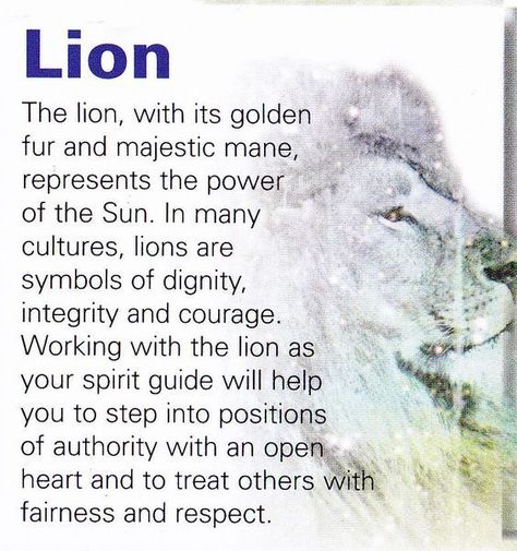 Your Animal Spirit Guide for April 16th is The Lion | Witches Of The Craft® Lion Spirit Animal, Animal Totem Spirit Guides, Lion Spirit, Spirit Animal Meaning, Animal Meanings, Spirit Animal Totem, Animal Reiki, Animal Spirit Guide, Spiritual Animal